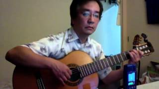 PS I Love You Fingerstyle Guitar [upl. by Ayvid]