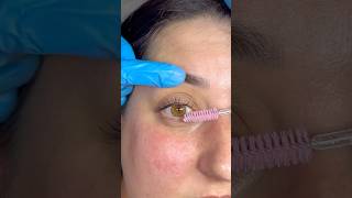 Korean style lash lift no glue lash lift style lashperm lashlift [upl. by Lian]