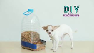 DIY Dog Feeder ขวดน้ำใสให้อาหาร ทำง่ายใน 5 นาที [upl. by August]