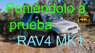 Rav4 primera generación España reunión anual 2023 [upl. by Aneelehs]