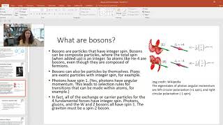 Bosons and Fermions [upl. by Hctud]