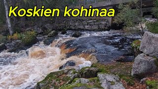 Koskien kohinaa [upl. by Rodenhouse]