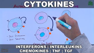 Cytokines  Classification and Functions [upl. by Neitsirk]