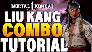 Mortal Kombat 1 Liu Kang Combos  Mortal Kombat 1 Liu Kang Combo Tutorial [upl. by Avilo]