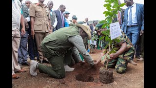 KENYA NATIONAL TREE PLANTING DAY LED BY PRESIDENT RUTO [upl. by Larisa]