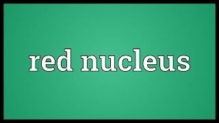 Red nucleus Meaning [upl. by Nabla]