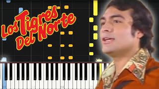 Contrabando y Traición  Los Tigres Del Norte  Tema en Piano 🎹🎶🎵🎼✨ [upl. by Nylyak615]