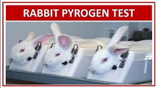 RABBIT PYROGEN TEST  MOST IMPORTANT FOR GPAT NIPER DI PHARMACIST EXAMINATION [upl. by Orms945]