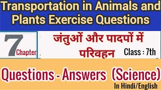 Class 7 Science Chapter 7 Transportation in Animals and Plants  Exercise Questions [upl. by Rosa]