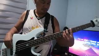 nothings gonna stop us  bass cover [upl. by Bordy697]