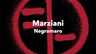 Negramaro Marziani TestoLyrics [upl. by Suivatco]