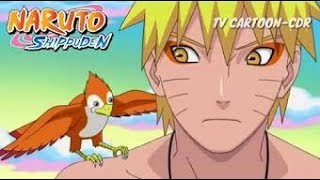 NARUTO ENTRENA PARA OBTENER EL MODO SABIO Y DERROTAR A PAIN NARUTO SHIPPUDEN 60FPS [upl. by Grannias]