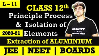 Principle Process amp Isolation of Elements  Electrochemical Principle of Metallurgy  L  11 [upl. by Ymor252]