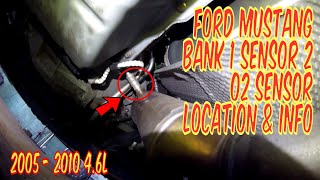 Ford Mustang Bank 1 Sensor 2 Oxygen Sensor Location  Common Codes amp Symptoms 2005  2010 V8 46L [upl. by Piggy]