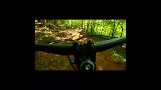 Big Berms Jumps and Flow Lets GO mtb shorts mountainbike mtblife bike gopro enduromtb [upl. by Caro648]