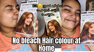 Trying no bleach hair colour at home Hair transition birdsofparadyes [upl. by Rebmak]