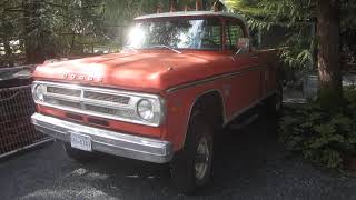 1971 Dodge W200 Power Wagon  4BT Cummins [upl. by Jadda213]