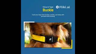 fi series 3 smart dog collar review The Ultimate Peace of Mind for Every Dog Owner dogtraining [upl. by Mallina]