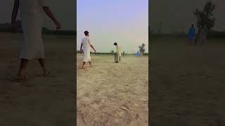 wicket Bold Cricket short Vlogs Satisfying [upl. by Kcirdec293]