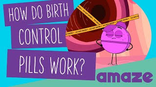 How Do Birth Control Pills Work [upl. by Neelyam]