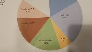 Ripartizione dei miei investimenti finanziari [upl. by Anikes]