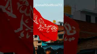 Azadari mehbudabad karbala shortsfeed 2024 [upl. by Sedaiuqlem]