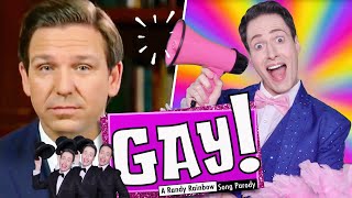 GAY  A Randy Rainbow Song Parody [upl. by Imoen]