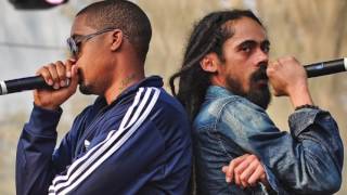 Damian Marley Living it up [upl. by Sedgewake]