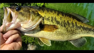 Mississagagon Lake first time fishing it [upl. by Nedyaj]