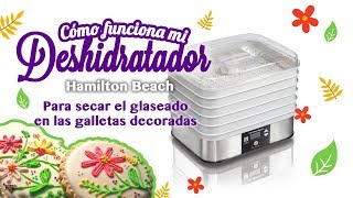 Cómo funciona mi deshidratador de alimentos Para galletas decoradas [upl. by Adnalu]