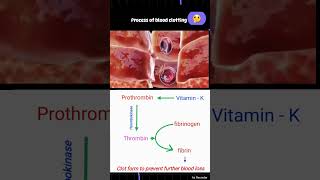 Process of Blood clotting  Blood clotting gurudham shorts [upl. by Ahsatam]