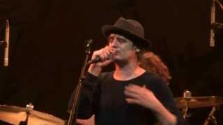 Babyshambles  Maybelline Live  Transbordeur Lyon FR 20140215 [upl. by Aicelav]