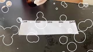 Biochemistry Lab Tests for Lipids Spot test Acrolein test amp LiebermannBurchard test [upl. by Zeidman]