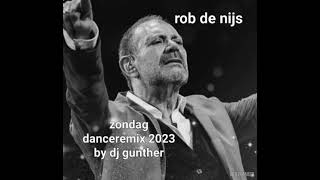 Rob De NijsZondag danceremix 2023 [upl. by Hengel]