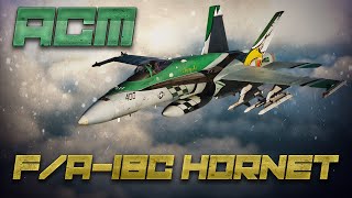 DCS F18 ACM Modes Tutorial [upl. by Anyl460]