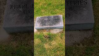 Headstone Cleaning cemetery graveyard educationalvideo headstonecleaning cleaning restoration [upl. by Nytsirhc]