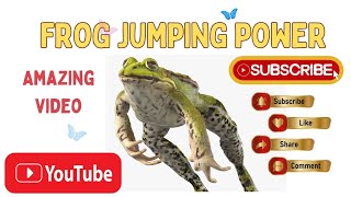 Frog Jumping  Frog Video  Frog Hunting [upl. by Philipines]