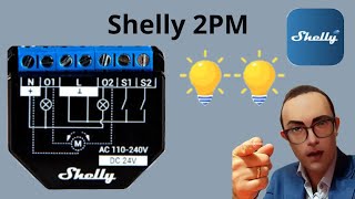 Shelly 2PM Montoggio e Funzionamento [upl. by Willman569]