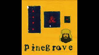 Pinegrove Need 2 Baba remix [upl. by Lawton]