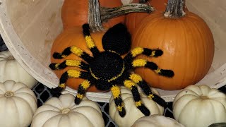 Crochet spider 🕷 Video1 legs and pedipalps [upl. by Anitneuq]