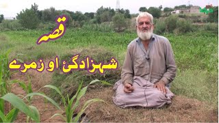 قصہ شہزادگئ او زمرے، qissa Shehzadgai ao Zmaray  Shah Afzal Mama qissa qissa aliflailastories [upl. by Albertine]