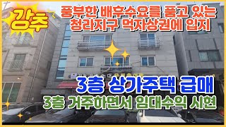 청라국제도시 먹자상권내 상가주택 급매1 [upl. by Sualkin]