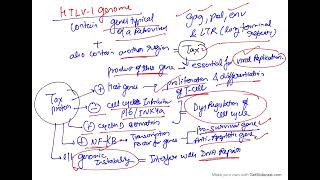 Microbial carcinogenesis oncogenic RNA viruses  HTLV 1 [upl. by Blynn435]