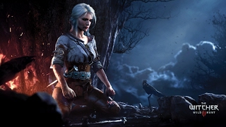 The Witcher 3 Wild Hunt  El rescate de Fringilla Vigo [upl. by Pippo436]