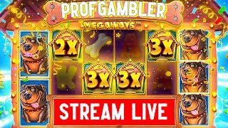 TOP BIGWINS  ProfGambler Gambling LIVE on Stream shorts bigwin slot gambler [upl. by Woody]