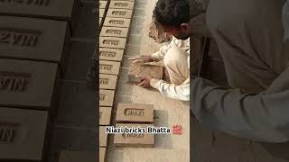 Hands bricks making brick brickshouse brickkiln kiln brickmanufacturing bricksmaking [upl. by Aydni]