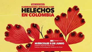 Iluminaciones Miradas a los Helechos en Colombia [upl. by Rae]