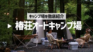 【キャンプ場紹介】山梨椿荘オートキャンプ場｜予約不要・早朝イン！道志エリアの森深き隠れ家サイトを徹底紹介 [upl. by Ahtibbat]