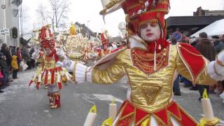 Aalst Carnaval 2014  De Melkmoilen [upl. by Weide759]