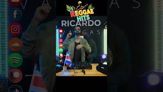 Reggae Hits Mix  Parte 4 [upl. by Anekam497]